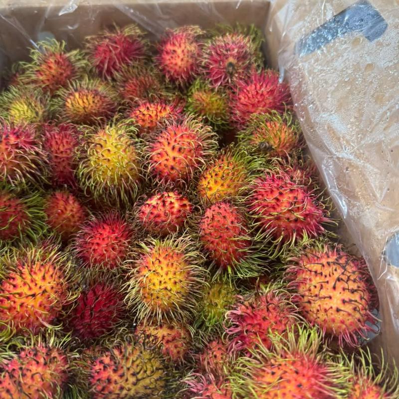 CHÔM CHÔM TƯƠI GUATEMALA – ĐÃ CÓ MẶT TẠI CALI! || FRESH RAMBUTAN FROM GUATEMALA – NOW IN CALIFORNIA!